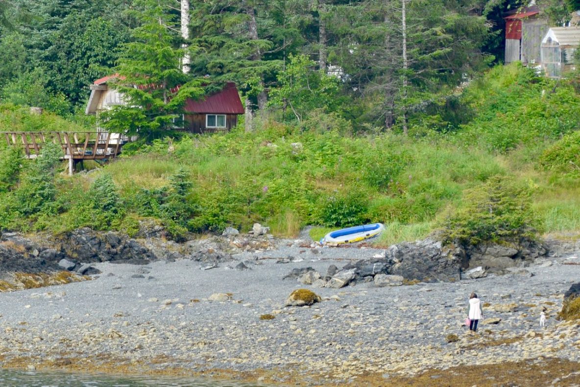 Chenega Bay Dog Walk Adventure Hermit Travel & Adventure